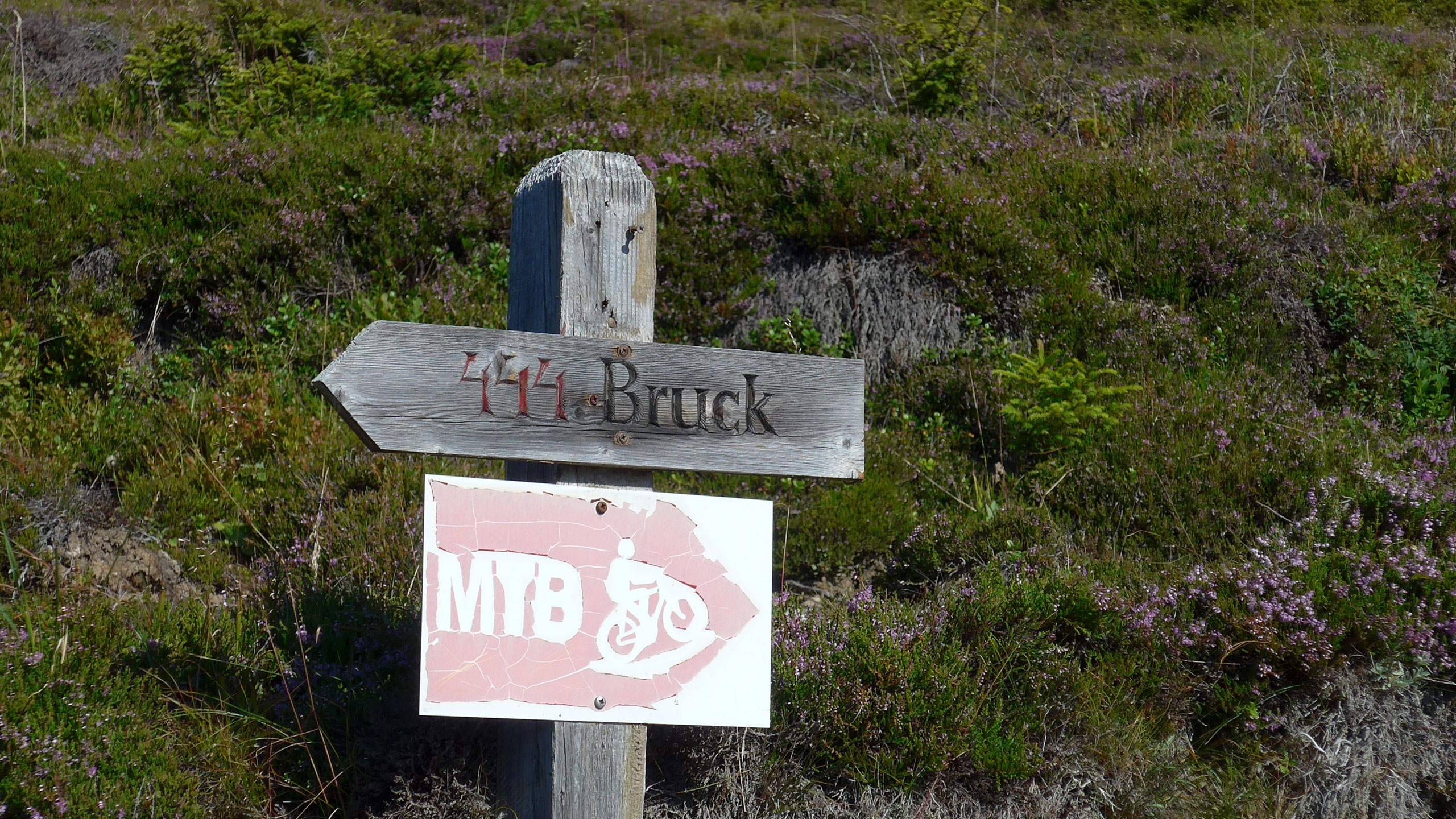 Wegweiser Bruck